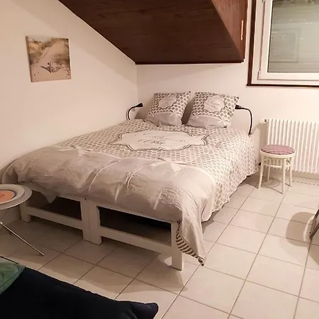 Studio With Wifi At Torgon 2 Km Away From The Slopes * Torgon